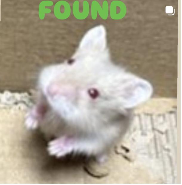 found