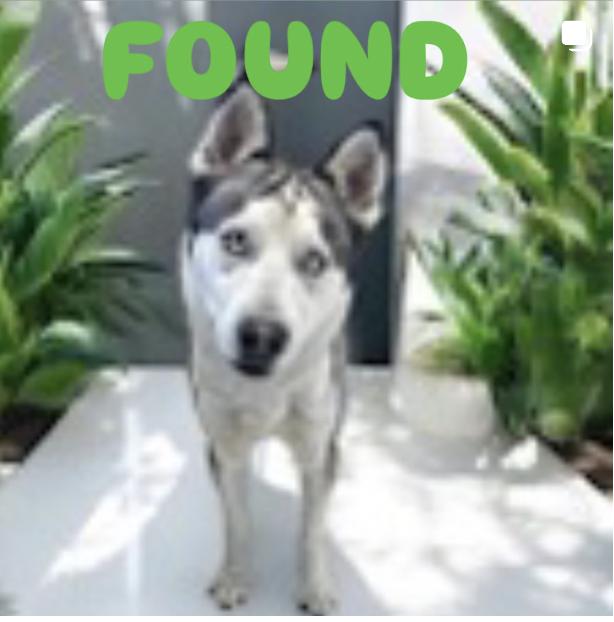 found