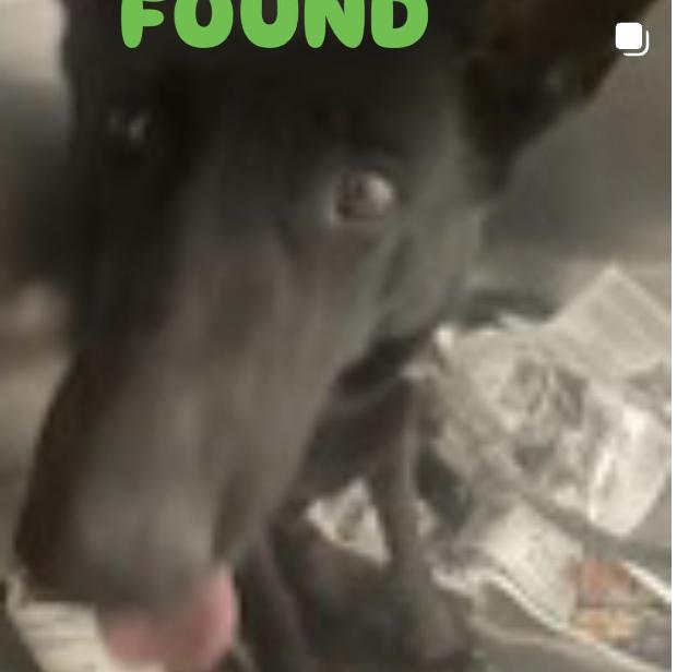 found