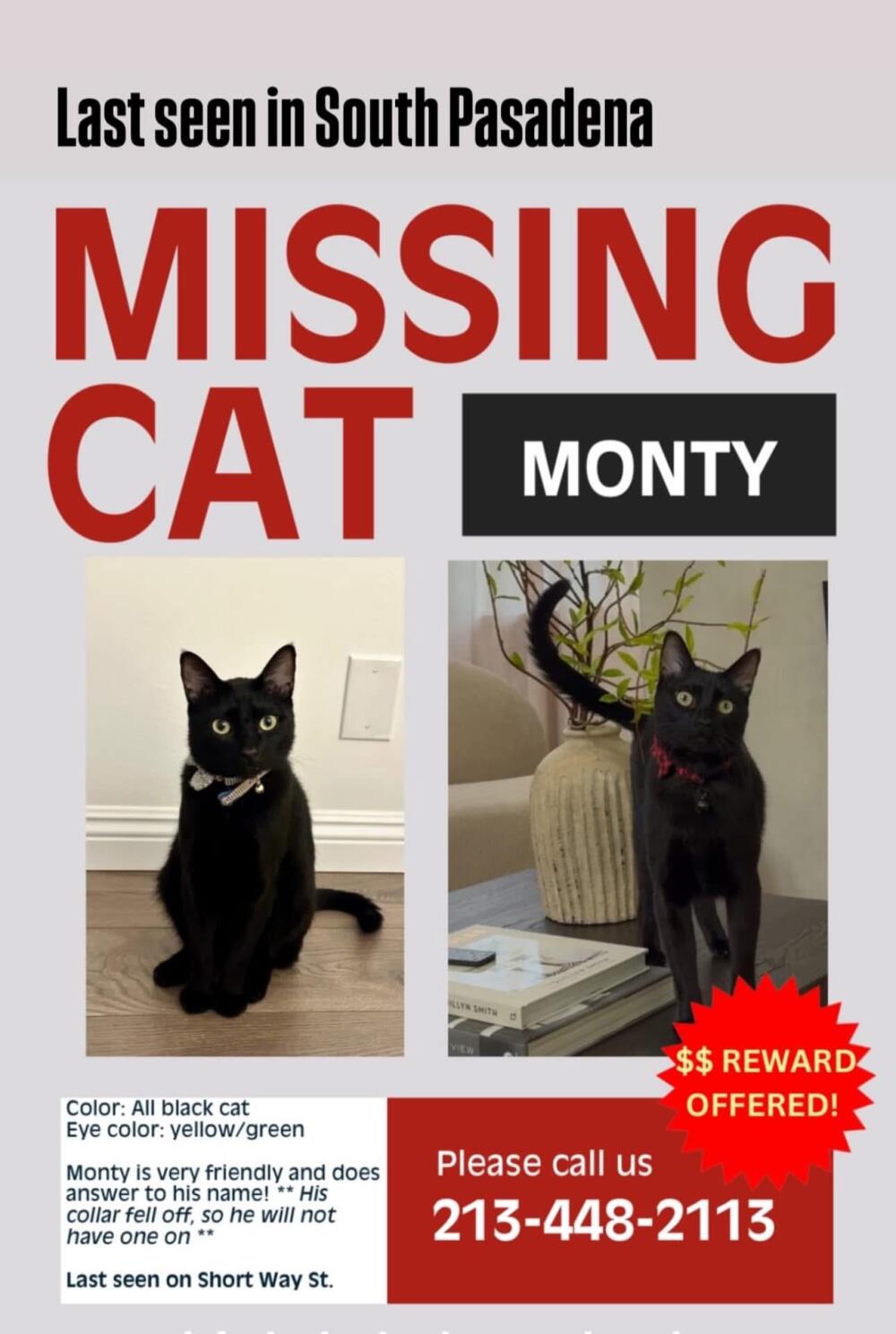 Lost all black male cat Monty in Pasadena, CA